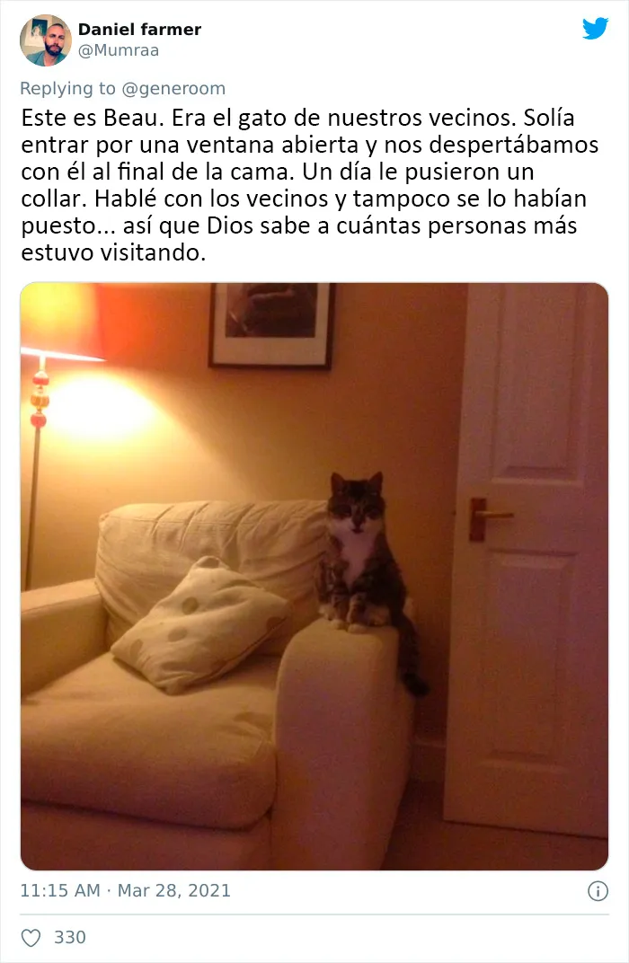 25 Gatos que hacen lo que quieren en estos tuits de "Este es mi gato, pero esta no es mi casa" y "Esta es mi casa, pero este no es mi gato"