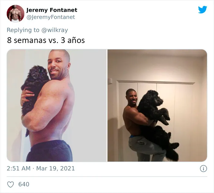 La gente comparte adorables fotos de lo rápido que crecen sus perros (35 fotos)
