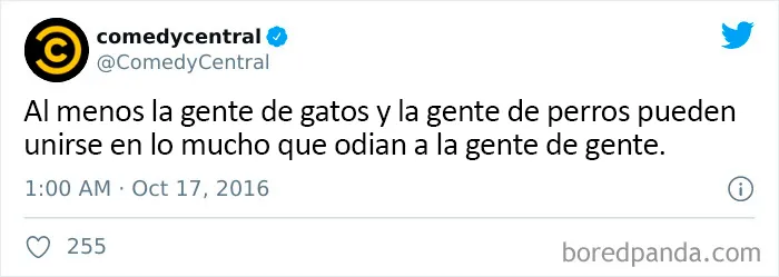 25 De los mejores tuits de "amantes de los perros vs amantes de los gatos"