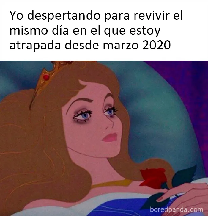 25 De los memes y chistes más acertados para "celebrar" un año de pandemia