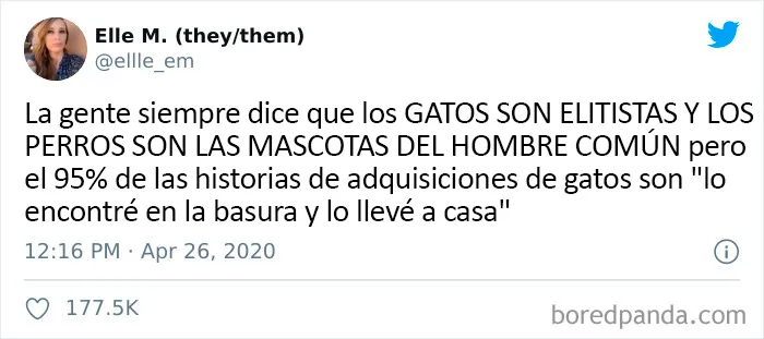 25 De los mejores tuits de "amantes de los perros vs amantes de los gatos"