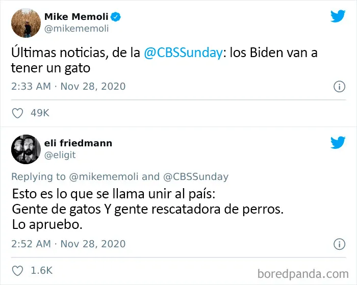 25 De los mejores tuits de "amantes de los perros vs amantes de los gatos"