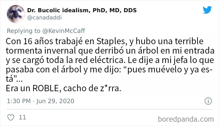 20 Tuits donde la gente revela las peores cosas que les dijeron sus jefes