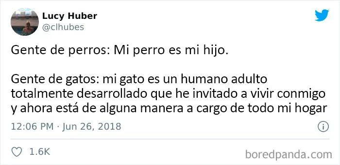 25 De los mejores tuits de "amantes de los perros vs amantes de los gatos"