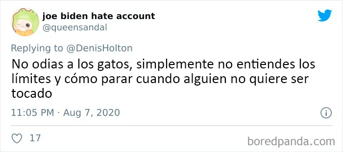25 De los mejores tuits de "amantes de los perros vs amantes de los gatos"