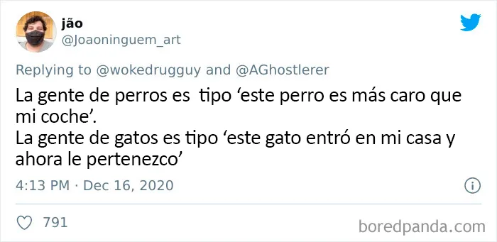 25 De los mejores tuits de "amantes de los perros vs amantes de los gatos"