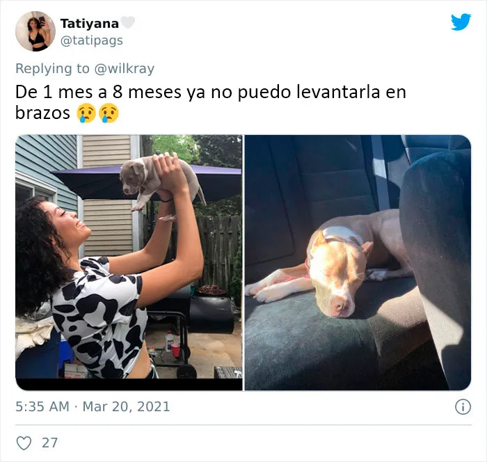 La gente comparte adorables fotos de lo rápido que crecen sus perros (35 fotos)