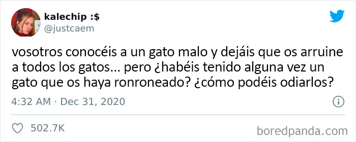 25 De los mejores tuits de "amantes de los perros vs amantes de los gatos"