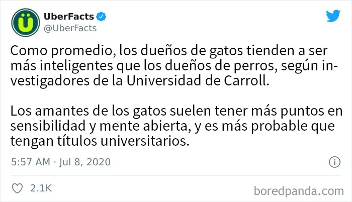 25 De los mejores tuits de "amantes de los perros vs amantes de los gatos"
