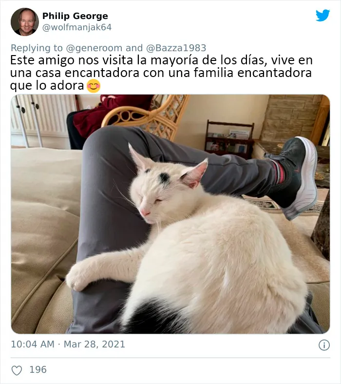 25 Gatos que hacen lo que quieren en estos tuits de "Este es mi gato, pero esta no es mi casa" y "Esta es mi casa, pero este no es mi gato"