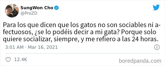 25 De los mejores tuits de "amantes de los perros vs amantes de los gatos"