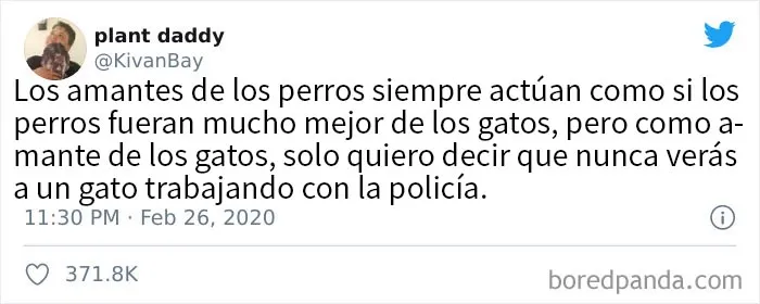 25 De los mejores tuits de "amantes de los perros vs amantes de los gatos"