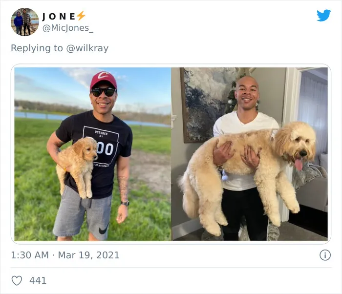 La gente comparte adorables fotos de lo rápido que crecen sus perros (35 fotos)