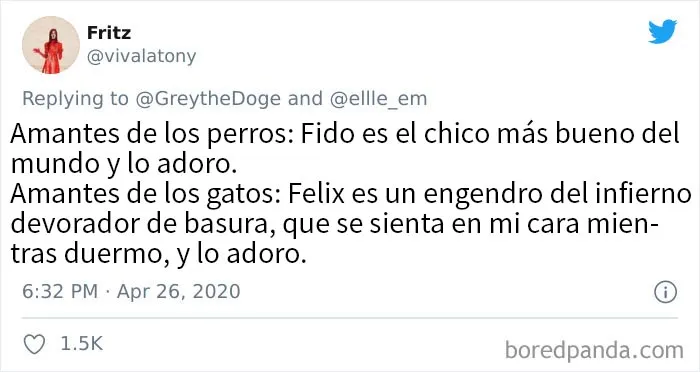 25 De los mejores tuits de "amantes de los perros vs amantes de los gatos"