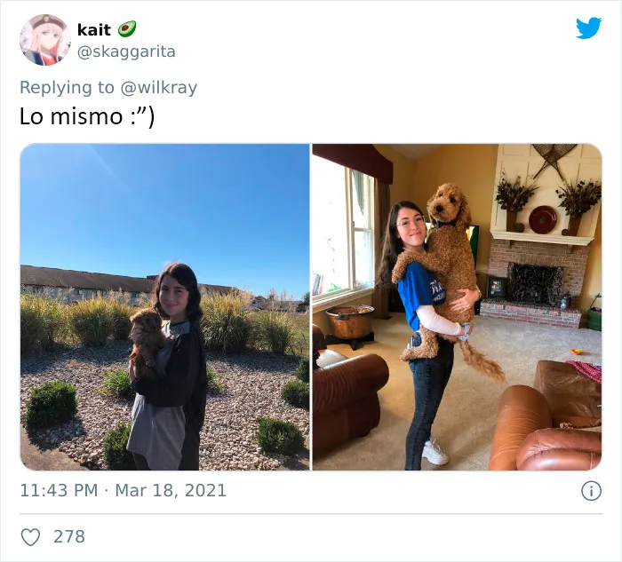 La gente comparte adorables fotos de lo rápido que crecen sus perros (35 fotos)
