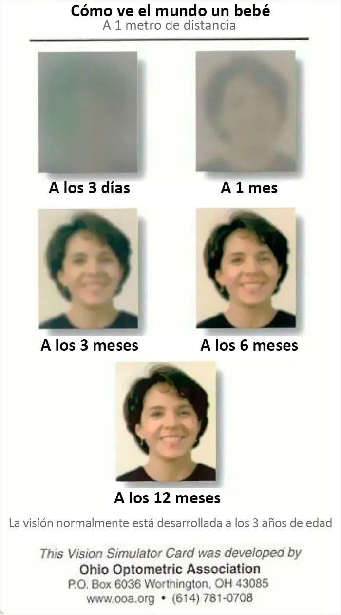Una idea genial de cómo ven el mundo los bebés recién nacidos