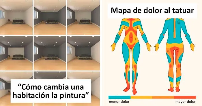 20 'Guías Geniales' compartidas por la gente, con información que no aprendes en la escuela