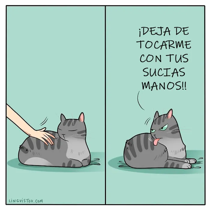 Esta artista ilustra cómo es vivir con un gato (25 nuevas imágenes)