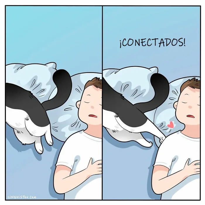 Esta artista ilustra cómo es vivir con un gato (25 nuevas imágenes)