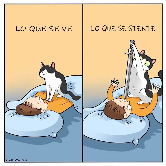Esta artista ilustra cómo es vivir con un gato (25 nuevas imágenes)