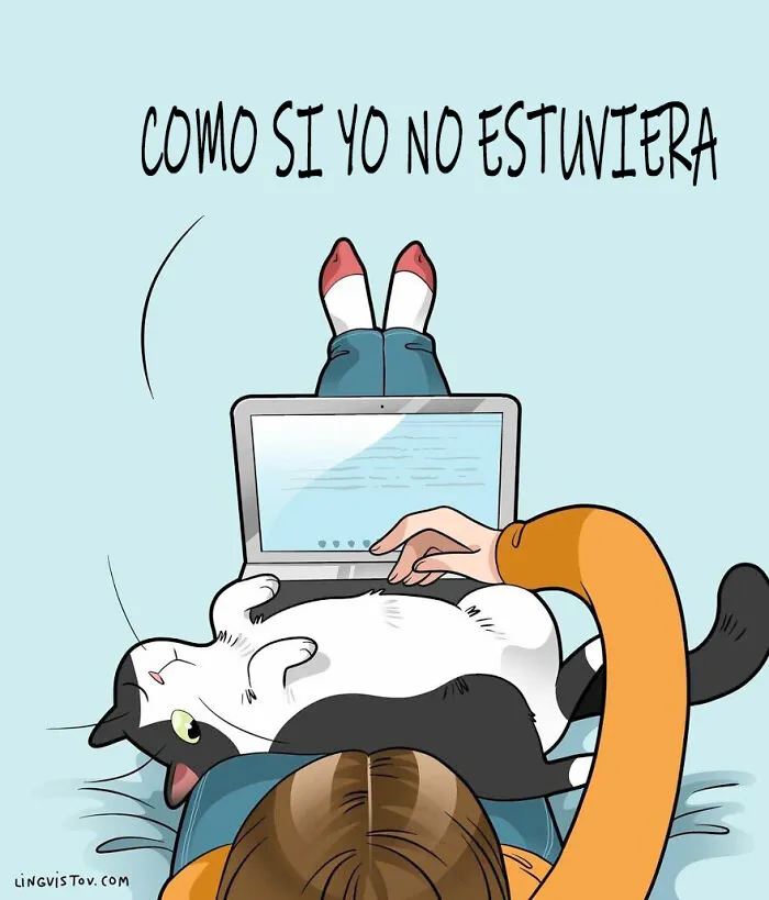 Esta artista ilustra cómo es vivir con un gato (25 nuevas imágenes)