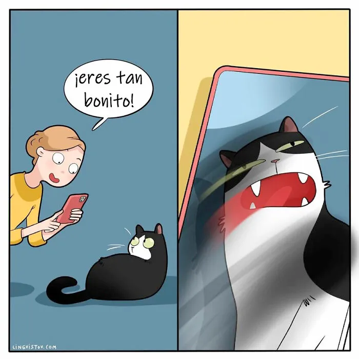 Esta artista ilustra cómo es vivir con un gato (25 nuevas imágenes)