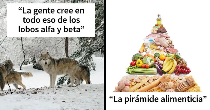 25 Mitos que siguen circulando como verdad, según este hilo viral