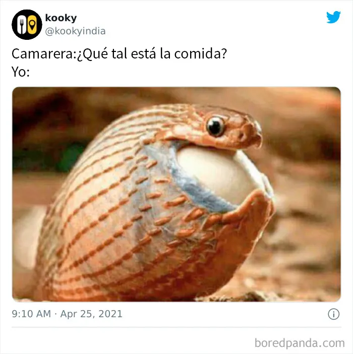 18 Geniales memes relacionados con la comida