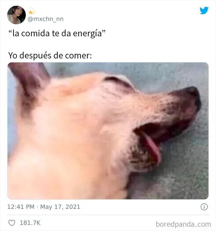 18 Geniales memes relacionados con la comida
