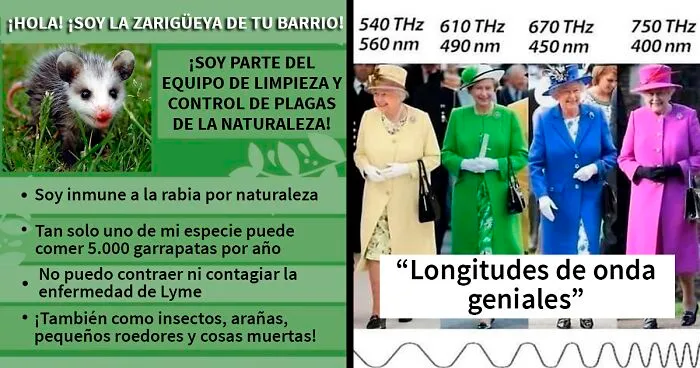 12 "Guías geniales" con información que no enseñan en las escuelas (nuevas imágenes)