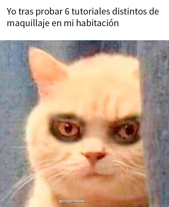 15 Divertidos memes de chicas y mujeres publicados por esta cuenta de Instagram