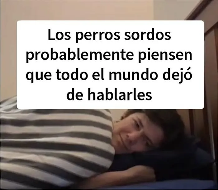 Este tipo publicó un pensamiento profundo en la ducha cada día durante un año, y aquí tienes 20 de los mejores