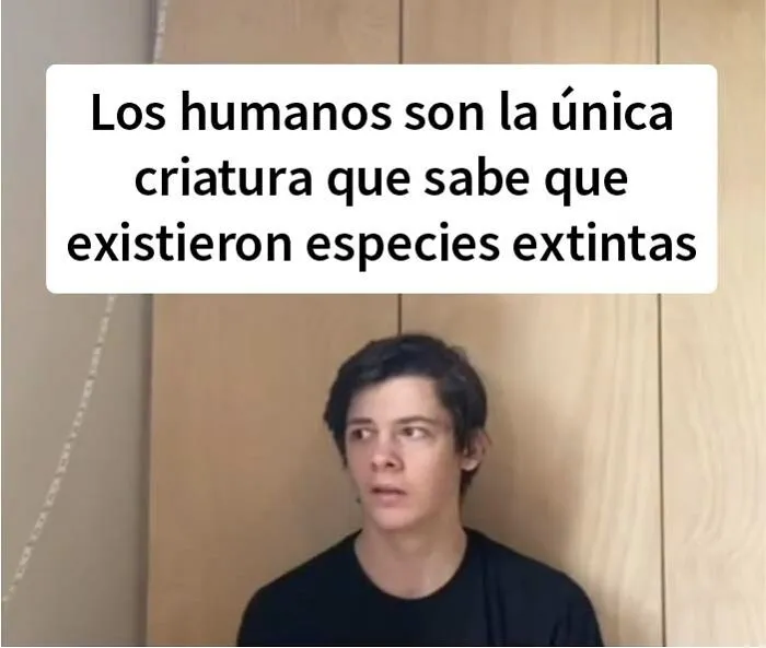 Este tipo publicó un pensamiento profundo en la ducha cada día durante un año, y aquí tienes 20 de los mejores