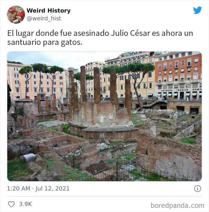 20 Interesantes datos de "Weird History" para amantes de la historia y la cultura general (nuevas imágenes)