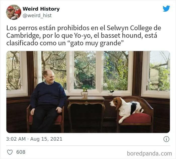 20 Interesantes datos de "Weird History" para amantes de la historia y la cultura general (nuevas imágenes)