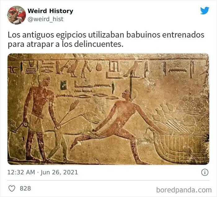 20 Interesantes datos de "Weird History" para amantes de la historia y la cultura general (nuevas imágenes)