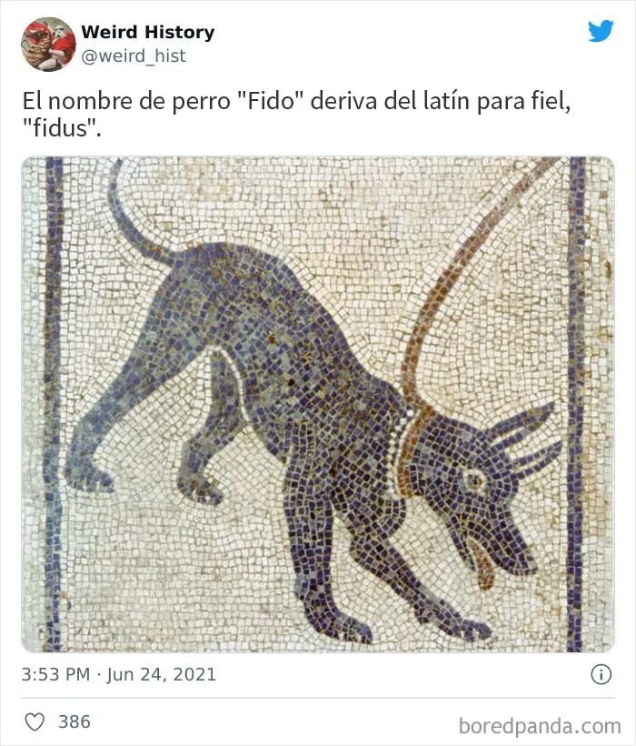 20 Interesantes datos de "Weird History" para amantes de la historia y la cultura general (nuevas imágenes)