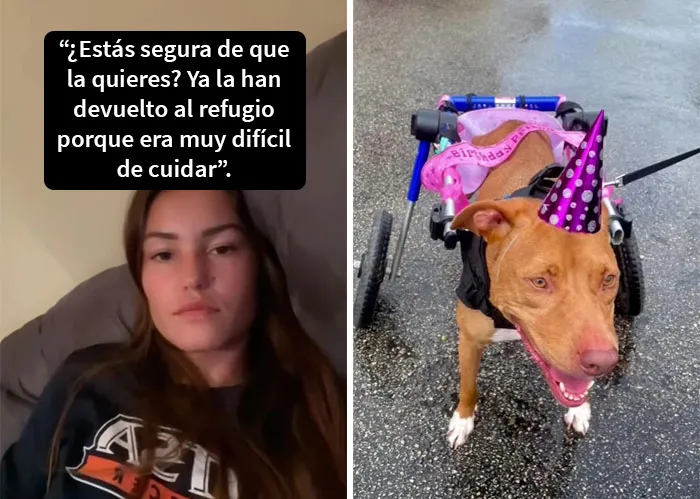 20 Conmovedores videos de la tendencia de TikTok “eres suficiente” que inspiraron a la gente a demostrar cuánto aprecian a sus seres queridos