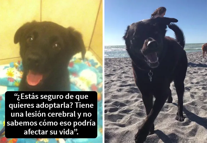 20 Conmovedores videos de la tendencia de TikTok “eres suficiente” que inspiraron a la gente a demostrar cuánto aprecian a sus seres queridos