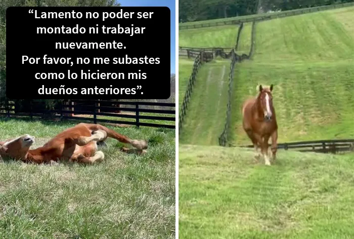 20 Conmovedores videos de la tendencia de TikTok “eres suficiente” que inspiraron a la gente a demostrar cuánto aprecian a sus seres queridos