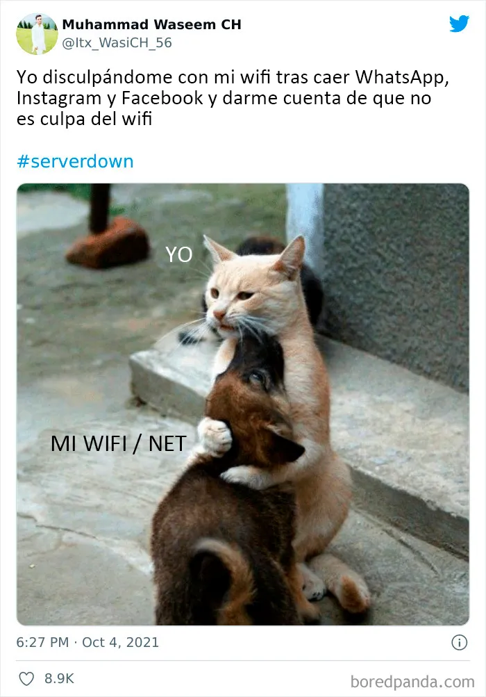 20 Respuestas muy divertidas de Internet ante el apagón de Facebook