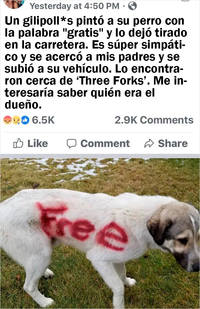 Una absoluta basura humana