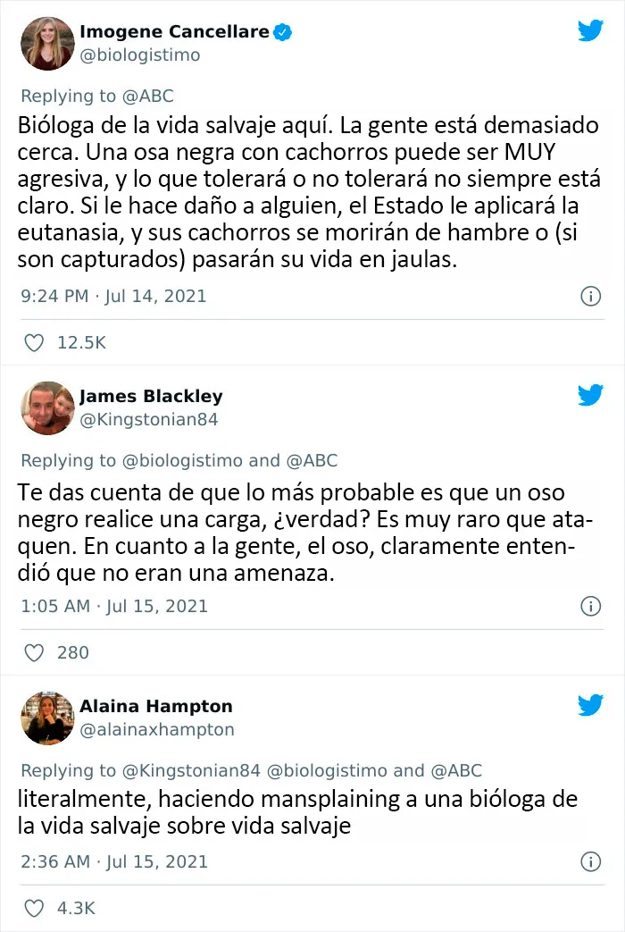 Y confundió el comportamiento del oso negro con el del oso pardo
