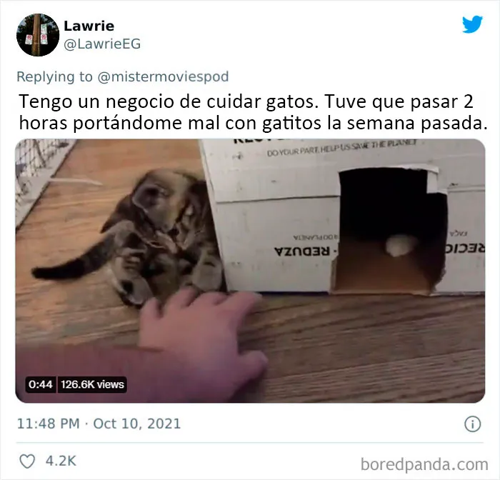 20 Personas que en realidad adoran su trabajo cuentan lo que hacen