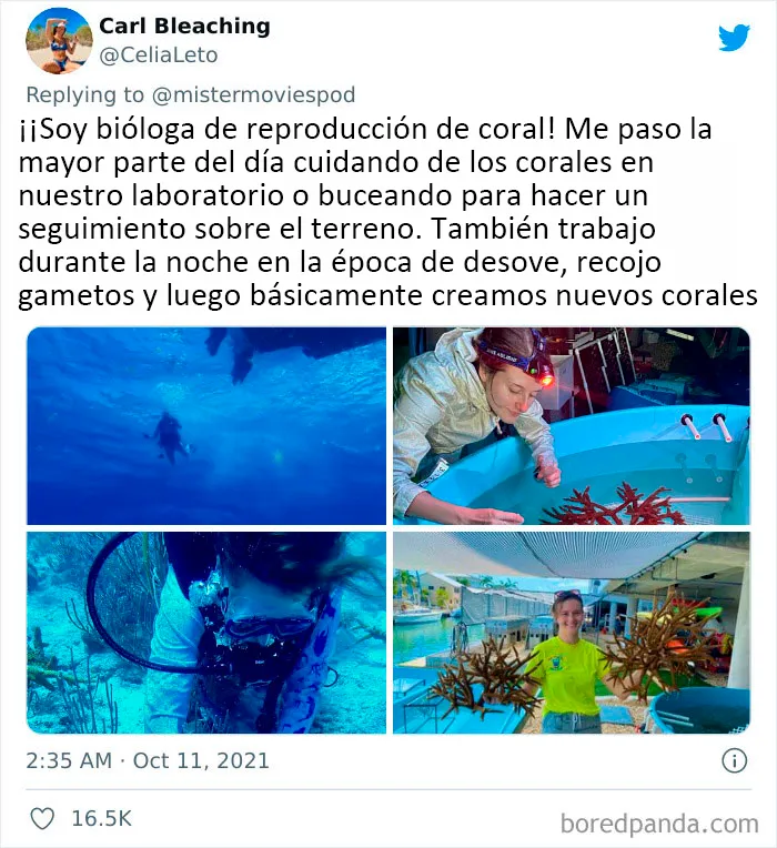 20 Personas que en realidad adoran su trabajo cuentan lo que hacen