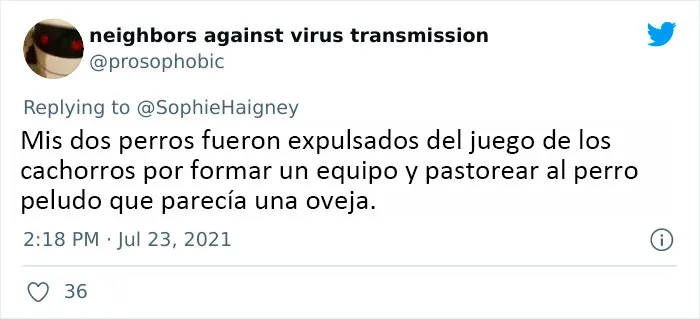 20 Perros que fueron expulsados de la guardería por divertidas razones, según cuentan sus dueños