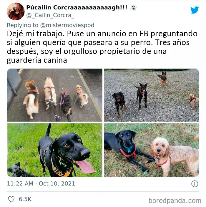 20 Personas que en realidad adoran su trabajo cuentan lo que hacen
