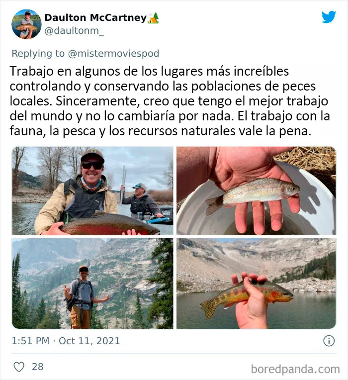 20 Personas que en realidad adoran su trabajo cuentan lo que hacen