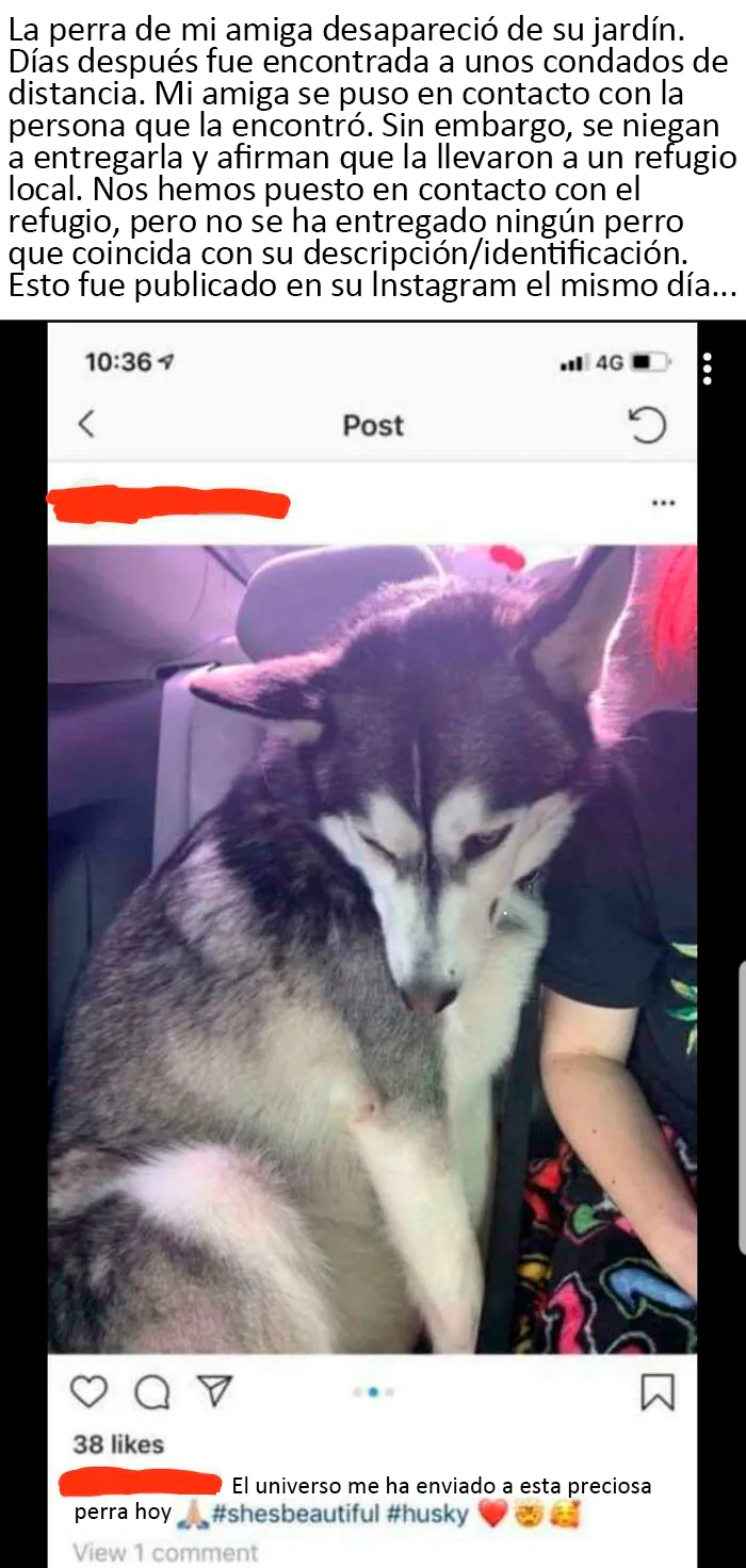 Esta persona que se niega a devolver el perro de mi amigo