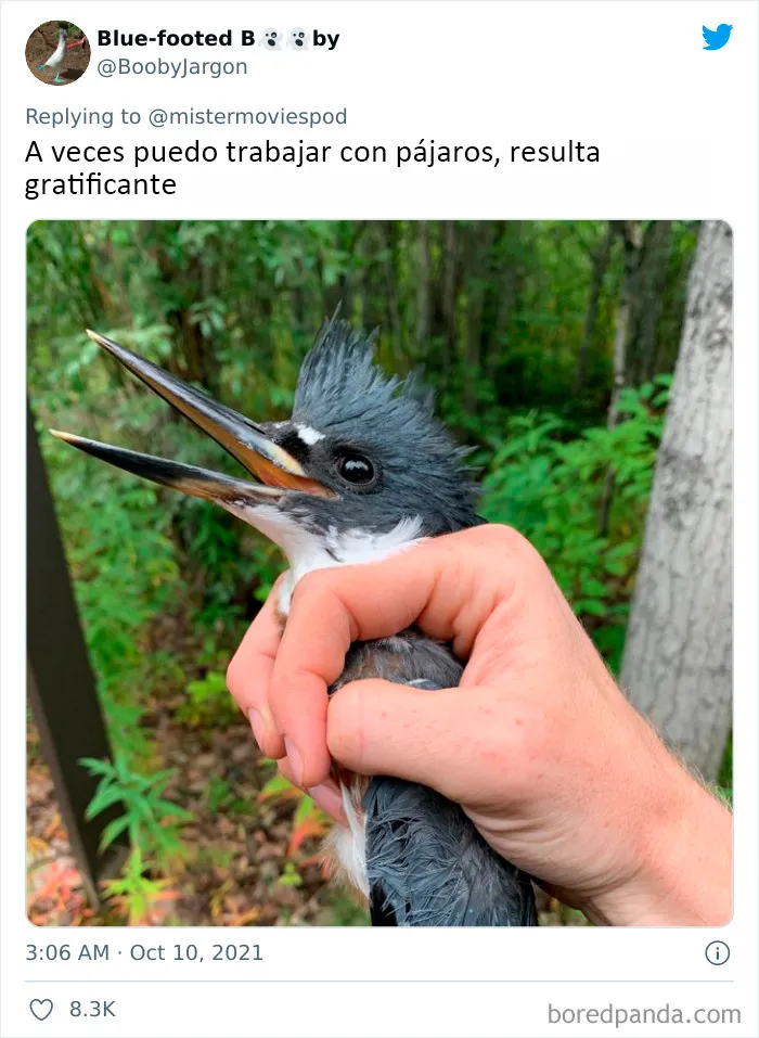 20 Personas que en realidad adoran su trabajo cuentan lo que hacen